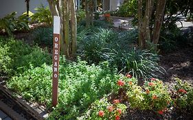 West Palm Beach Marriott